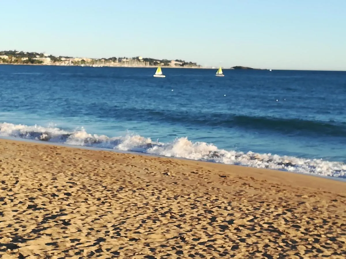 Port Frejus Apartment 0*,